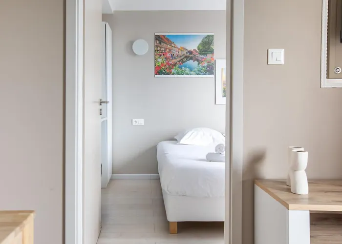 公寓 Le Tassigny A 2mn Du Centre Avec Parking 科尔马